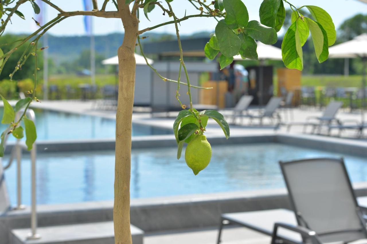 Mk Hotel Tirana Rinas Exterior photo The swimming pool